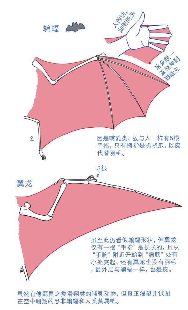 自学动漫绘画教程大全，自学动漫绘画必备素材！