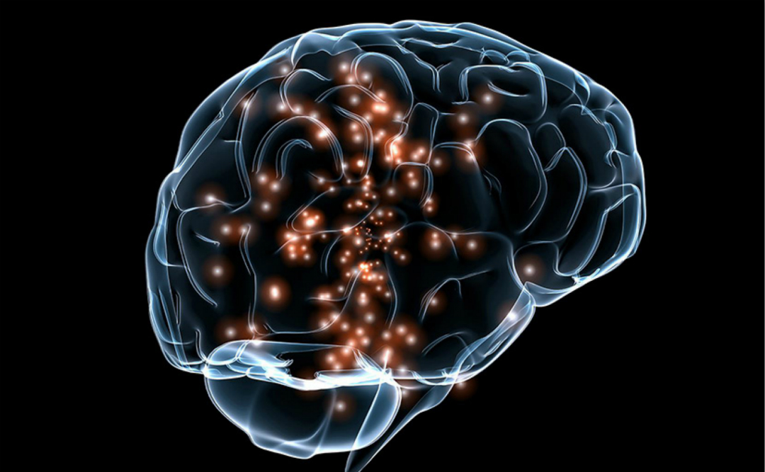 探索大脑记忆的奥秘,人类欲操控大脑记忆,创造新的大脑记忆方式