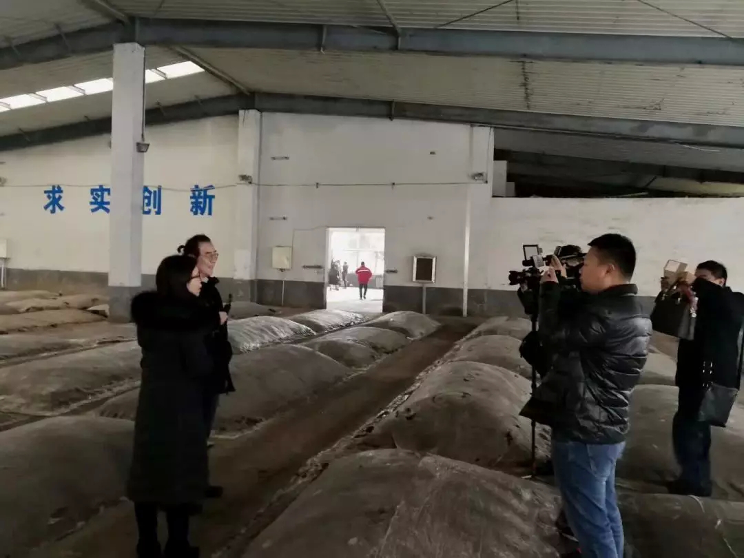 韩国留学生来山东温和酒业集团开班实习了！(13)