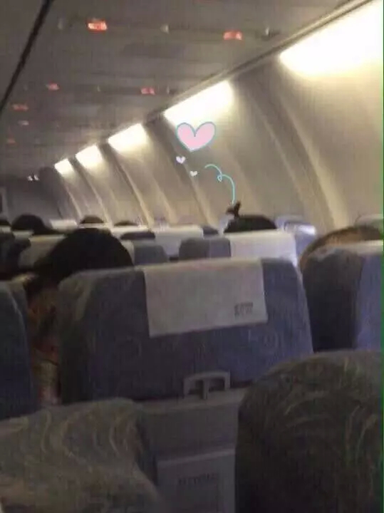 易烊千玺过安检不肯摘帽子 强行摘下后全场都笑了(图4)