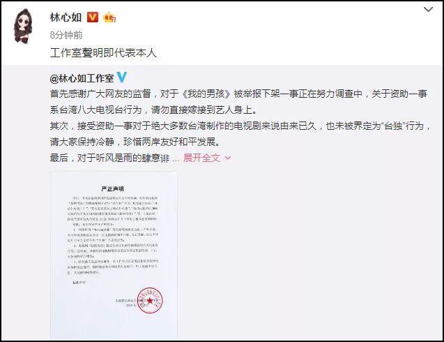 林心如新剧《我的男孩》接受台“文化部”补助引发争议(图4)