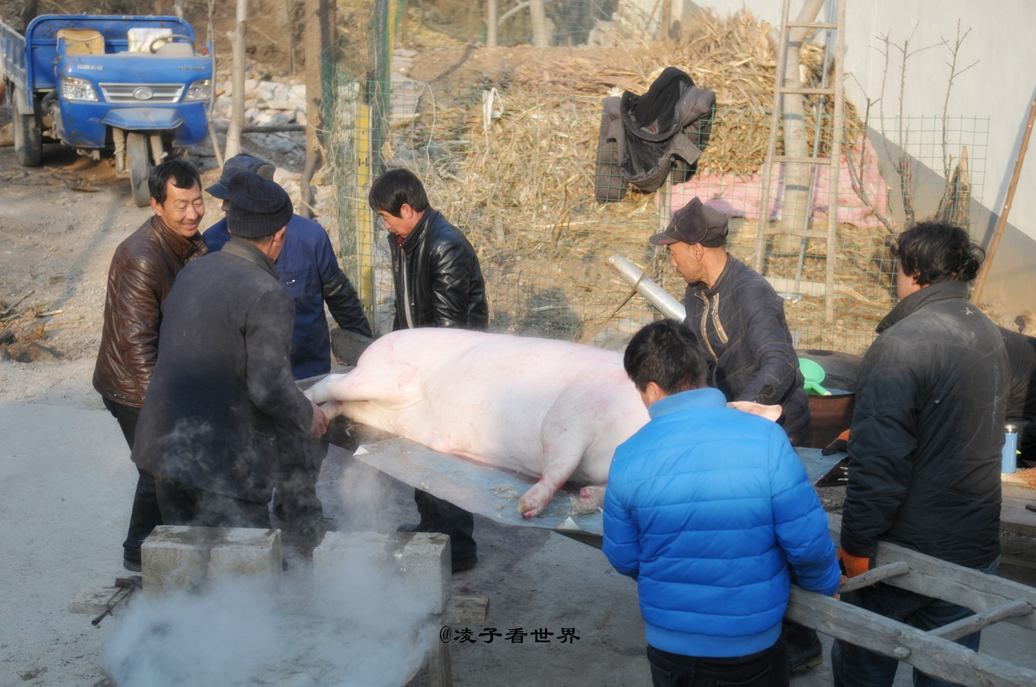 亲眼目睹农村人忙年杀年猪