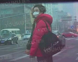 车晓恋情疑曝光？前夫山西首富传分手费3亿(图4)