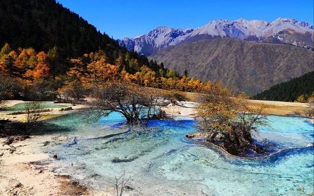 颈椎神经支配分布图_绵阳人均可支配收入(3)