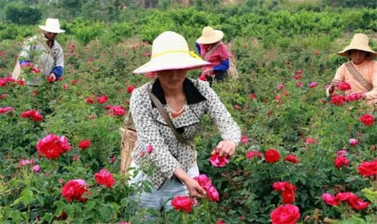 【在斌驰买台昆明二手车去这里享受美景吧!_网