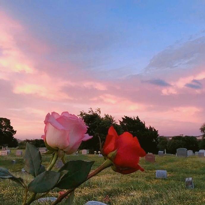 国内信用证与预付卡测试题