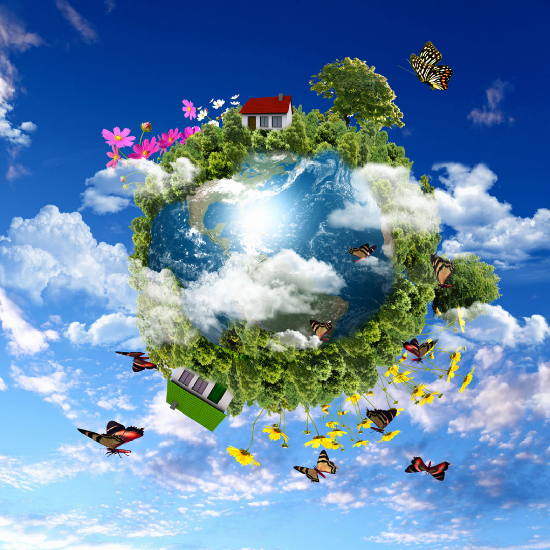 ��������CO₂���������ĸ����ã����˸о�����˼�飡