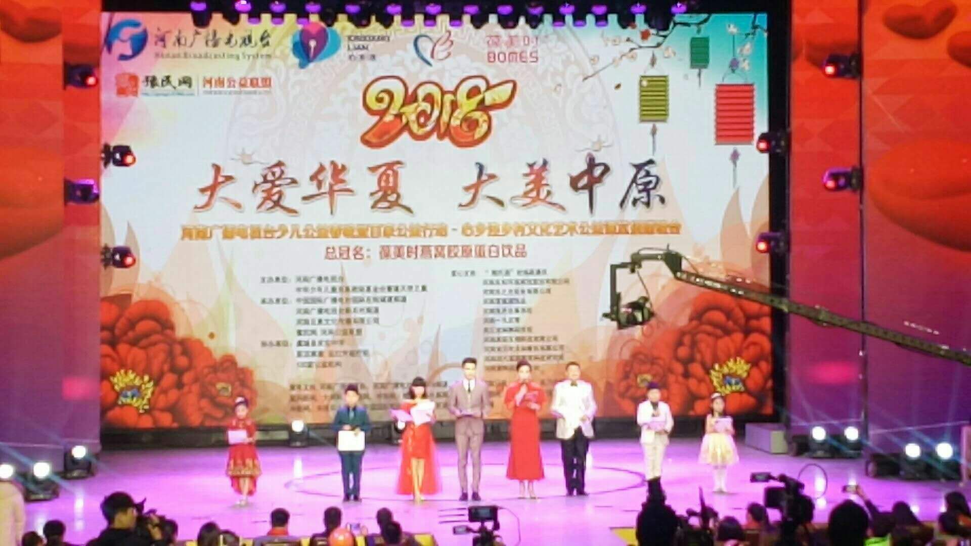 “心乡连乡村文化艺术”公益晚会落幕(1)