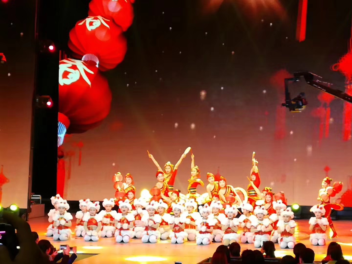 “心乡连乡村文化艺术”公益晚会落幕(2)