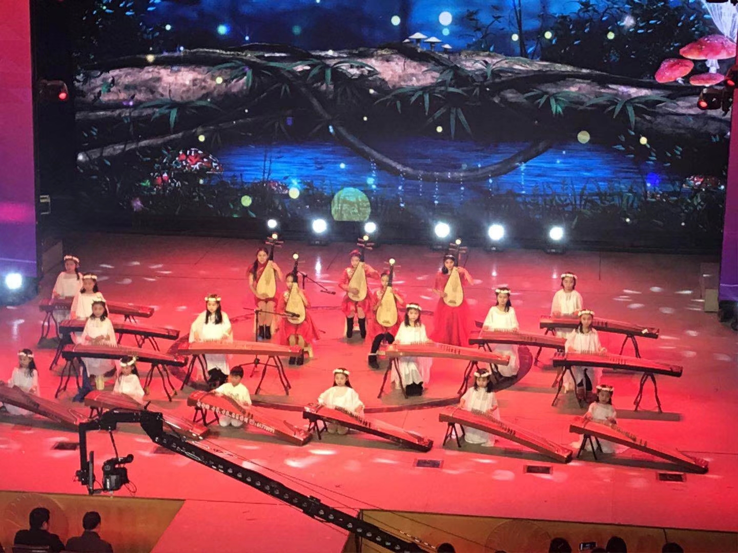 “心乡连乡村文化艺术”公益晚会落幕(3)