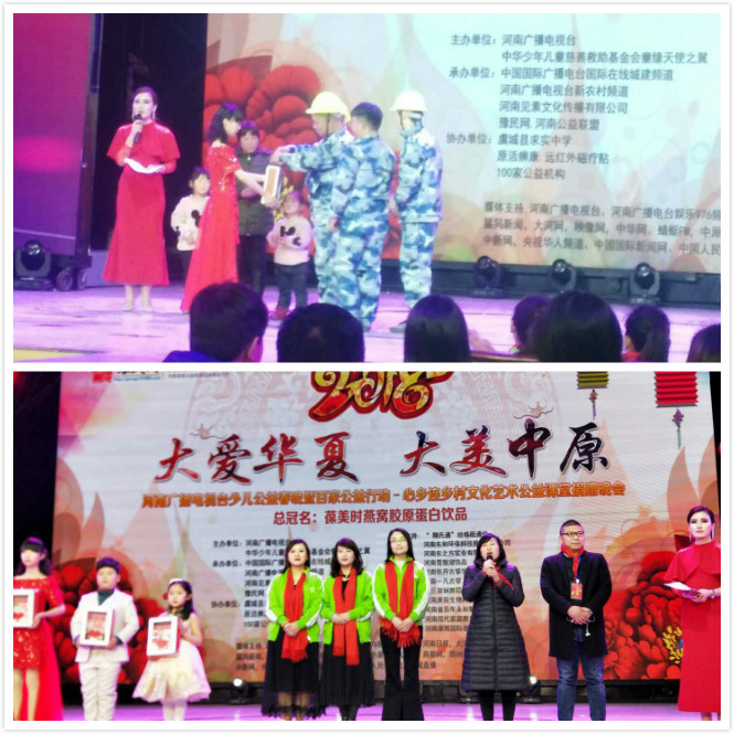 “心乡连乡村文化艺术”公益晚会落幕(8)