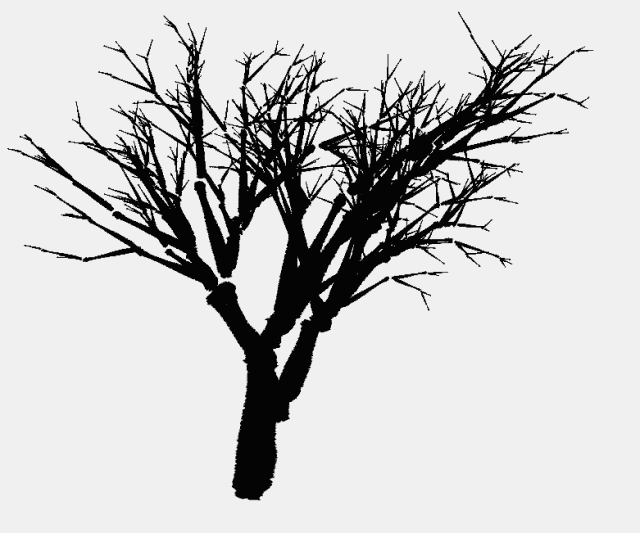 我是雕刻师--她靠捡来的树枝,折服了千万人