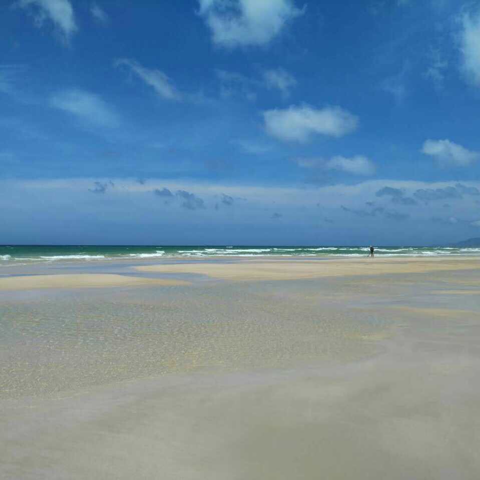 普通美国人扣税扣保险之后,净到手工资是多少