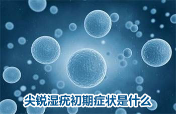 上海明珠医院性疾病专家:尖锐湿疣初期症状是