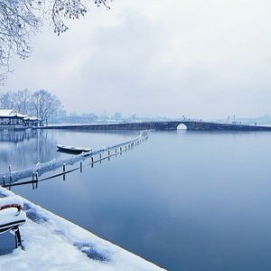 如何评价抖音称微信公众号侵犯其名誉权,起诉