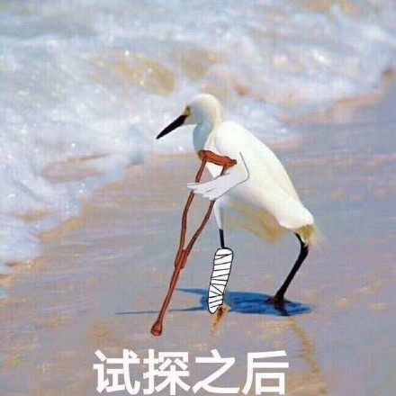 藤原拓海掉落山底遭受重伤,这个残忍的事实让