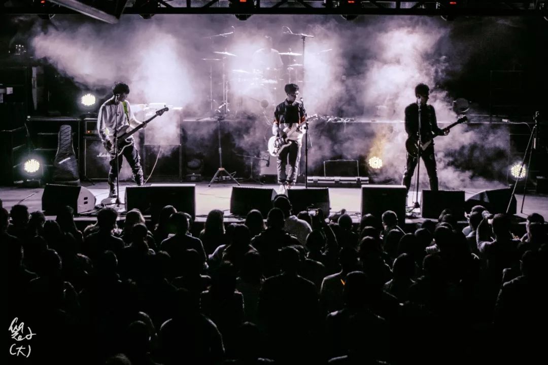 关于南瓜,我讲不出再见