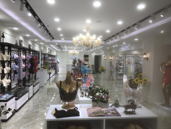 狄朵娜女士内衣品牌,你2018年创业好方向