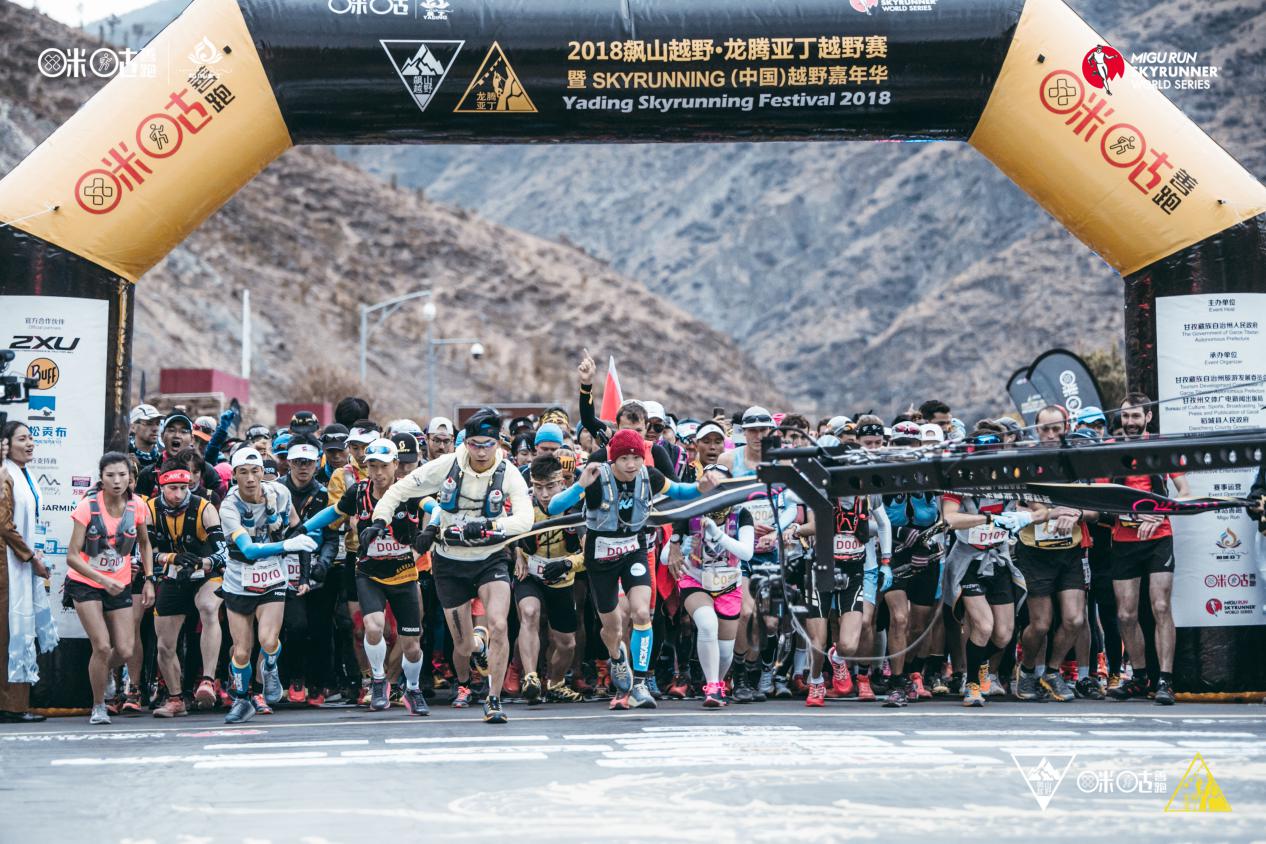 300e625277023c68bd6dbbf739f0b31