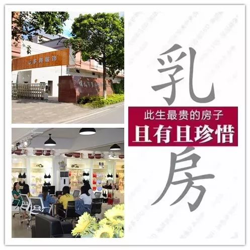 内衣火爆:百丽挺 就是挺!