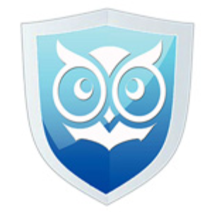 员工不良上网行为的危害