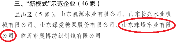 祝贺山东珠峰车业被评为临沂市“新模式”示范企业!(图2)