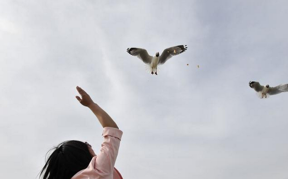 抗击肺癌7年，我只能给大家一个忠告:唯有改变才能成功!