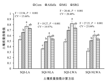 东北地理所揭示碱化草地多途径利用对土壤质量的影响
