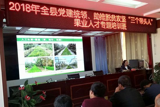 心系老区强化支撑 助推果农脱贫攻坚