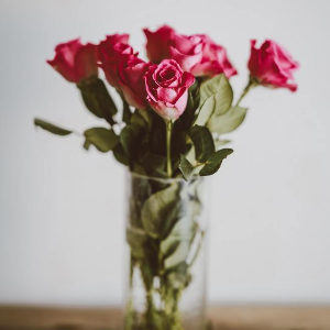 中国女性积极冻卵的当下,说明了什么?