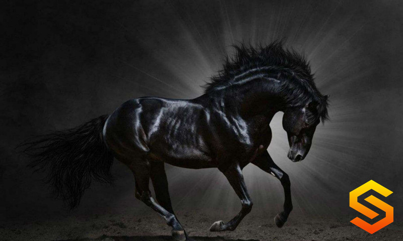 629483784939015186_副本