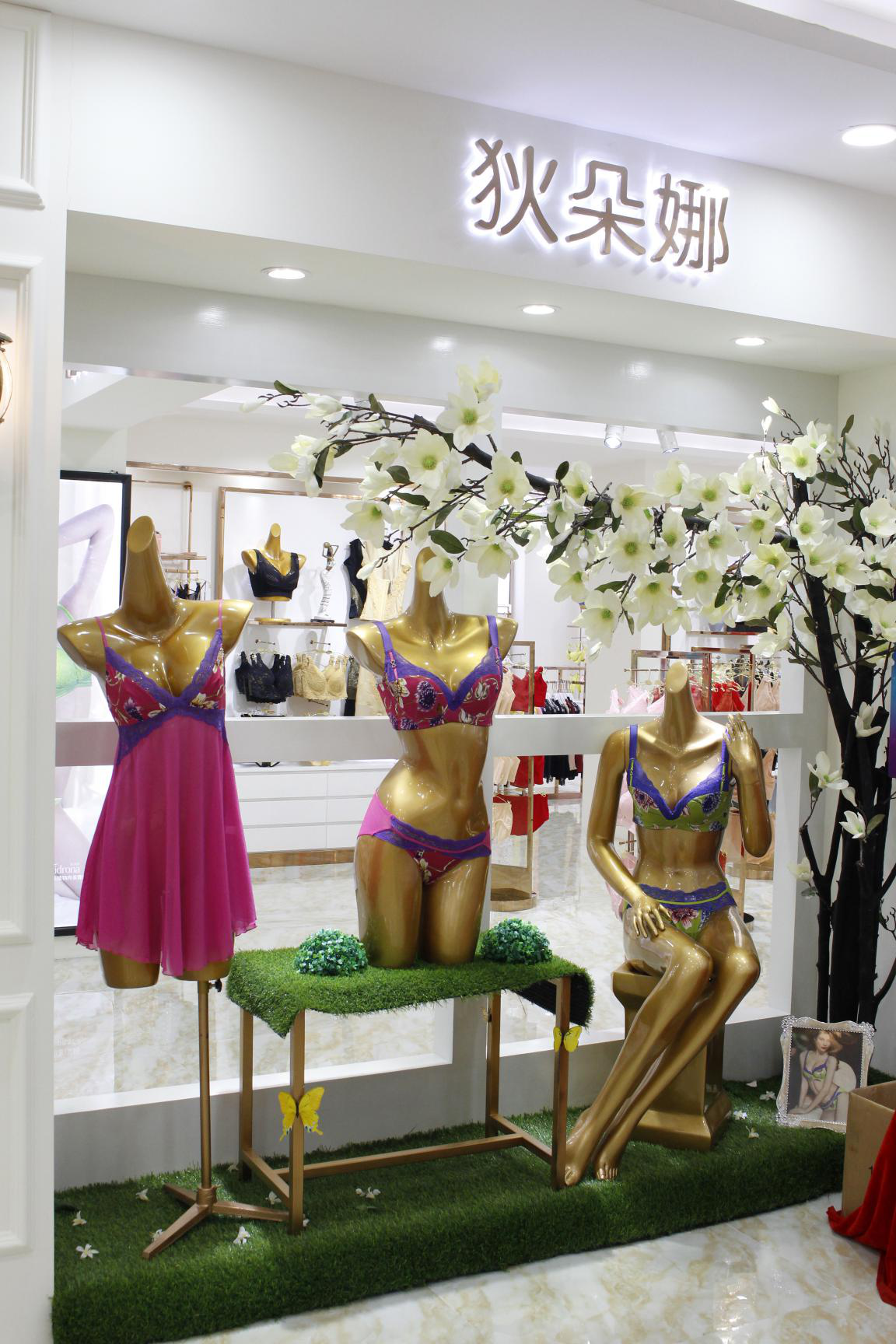 狄朵娜香熏植物内衣,为加盟商经营好门店提供