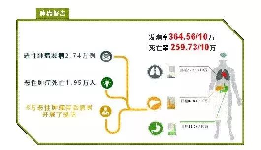 南通市人口统计_南通人口红利之窗加快关闭南通日报多媒体数字报刊平台