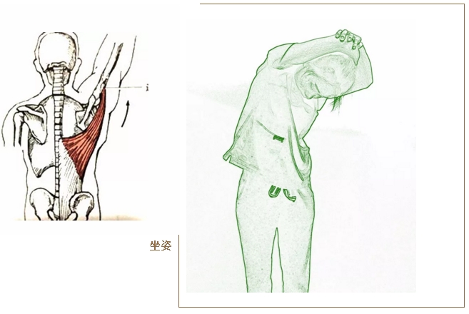 六,深层颈屈肌放松