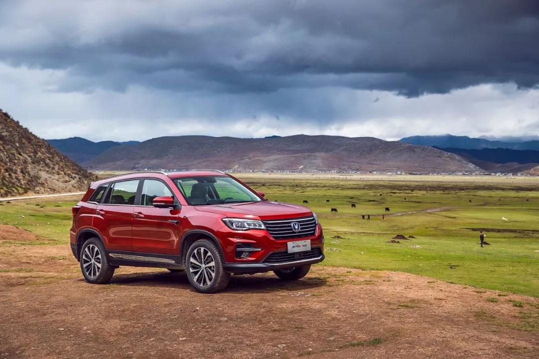 2019年日汽保有量排行_网友评出十款肉鸡动力车型,买车要慎重