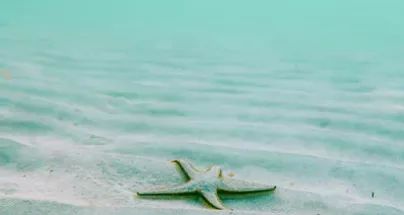 2019年高考,先知先觉的家长已这样做!后知后觉