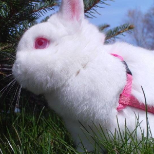 【一点资讯】囚禁游戏牢笼