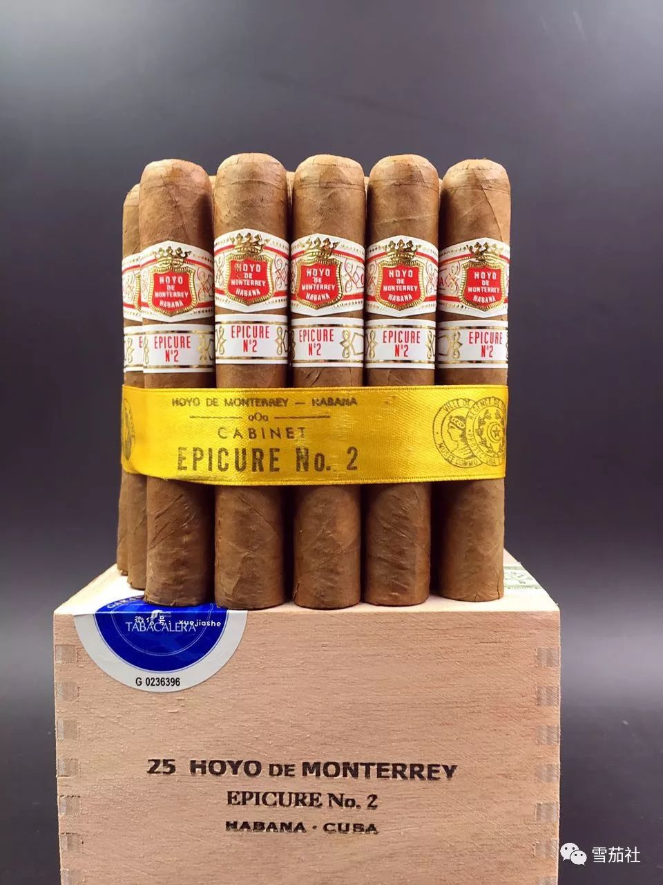 用罐子养古巴雪茄更美味，你必须注意的五个事项