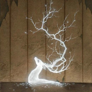 各国球员体质秒杀国足大肚腩,国足世界杯是