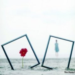 杨洋深夜宣布恋情,好友郑爽送出祝福!网友:般配