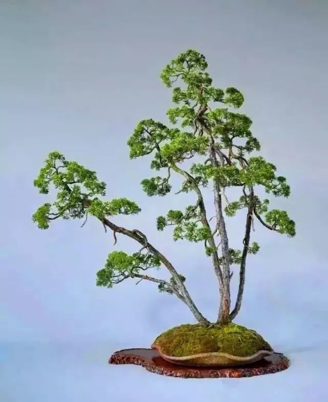 辰,()