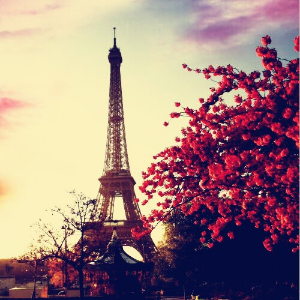 时时彩技巧分析:妙用规律杀码