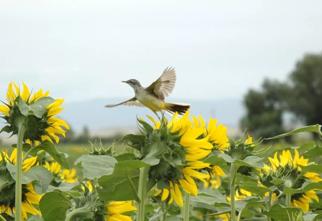 何裕民：癌症没有打垮他们，反而成就了他们！