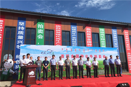 首届全国种公牛拍卖会召开
