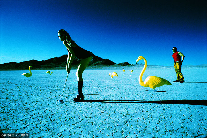 十一选五任选四技巧稳赚关键之定胆至关重要