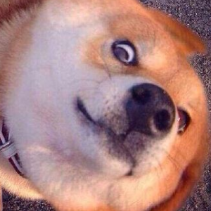 国际乒联2018男子乒乓球世界杯最终名单出炉