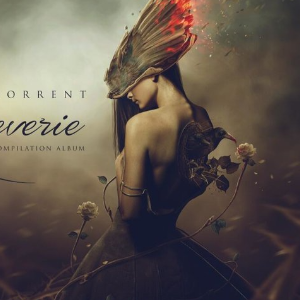 晓培优2019校园宣讲