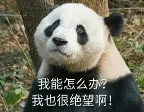 640.webp (4)