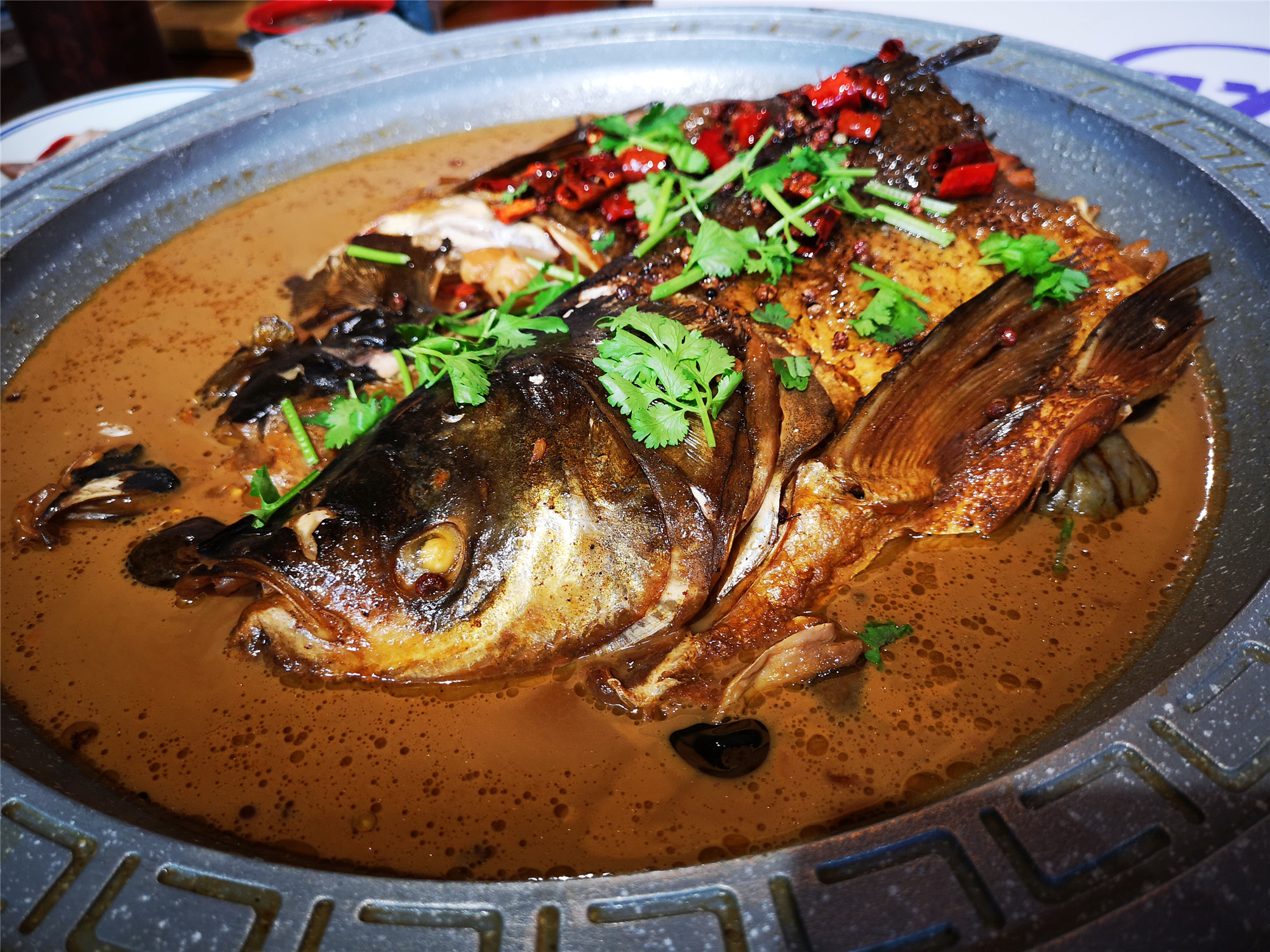 家常清蒸石斑鱼的做法，鲜嫩美味，做法简单家常又好吃_哔哩哔哩 (゜-゜)つロ 干杯~-bilibili