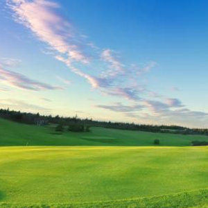 小贝携全家逛街独宠小七, 金发侧颜已成小女神